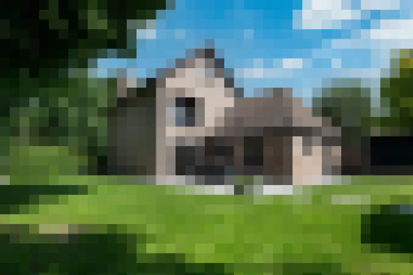 Leeuwerik 65 Waspik thumbnail 29