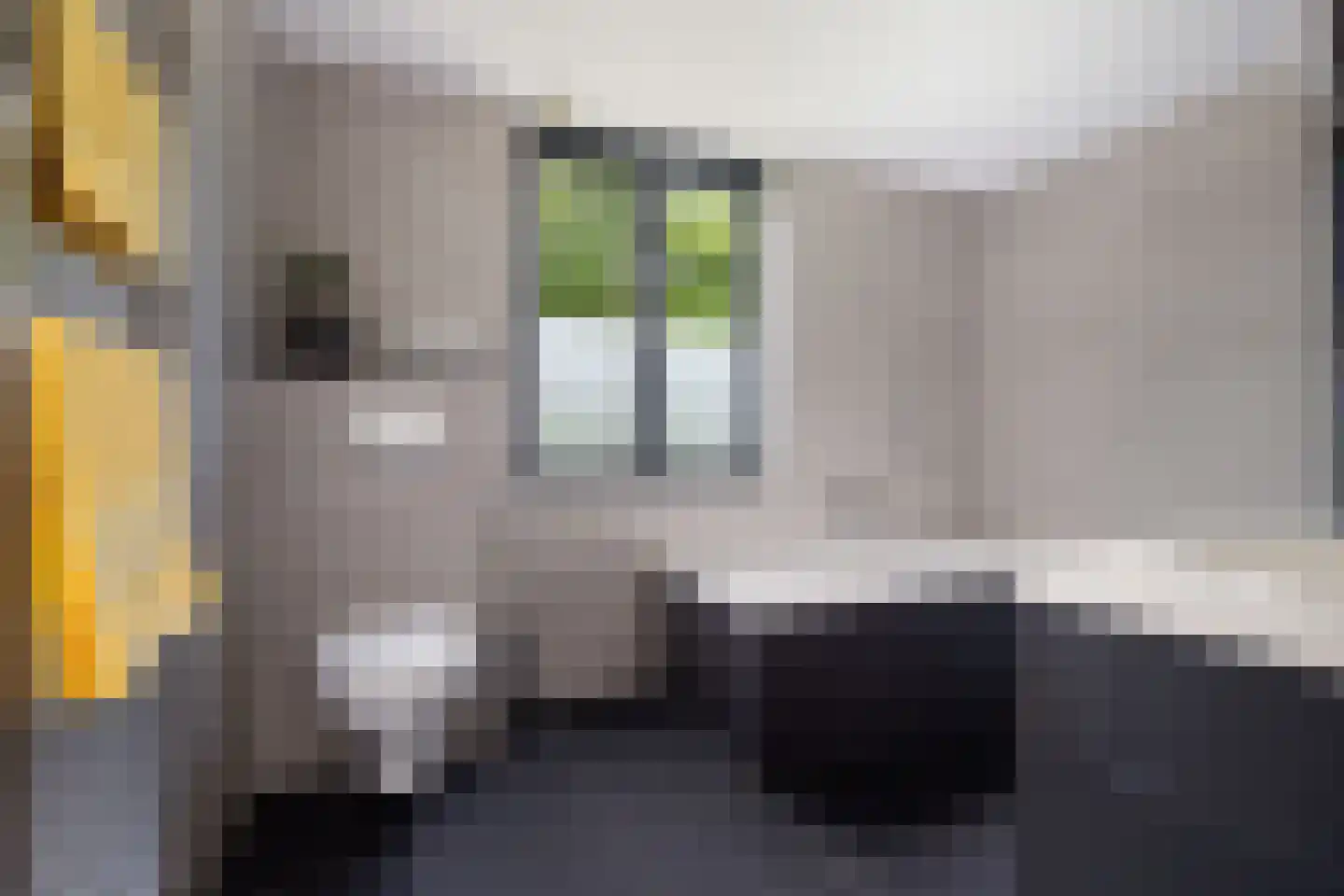 Leeuwerik 65 Waspik thumbnail 34