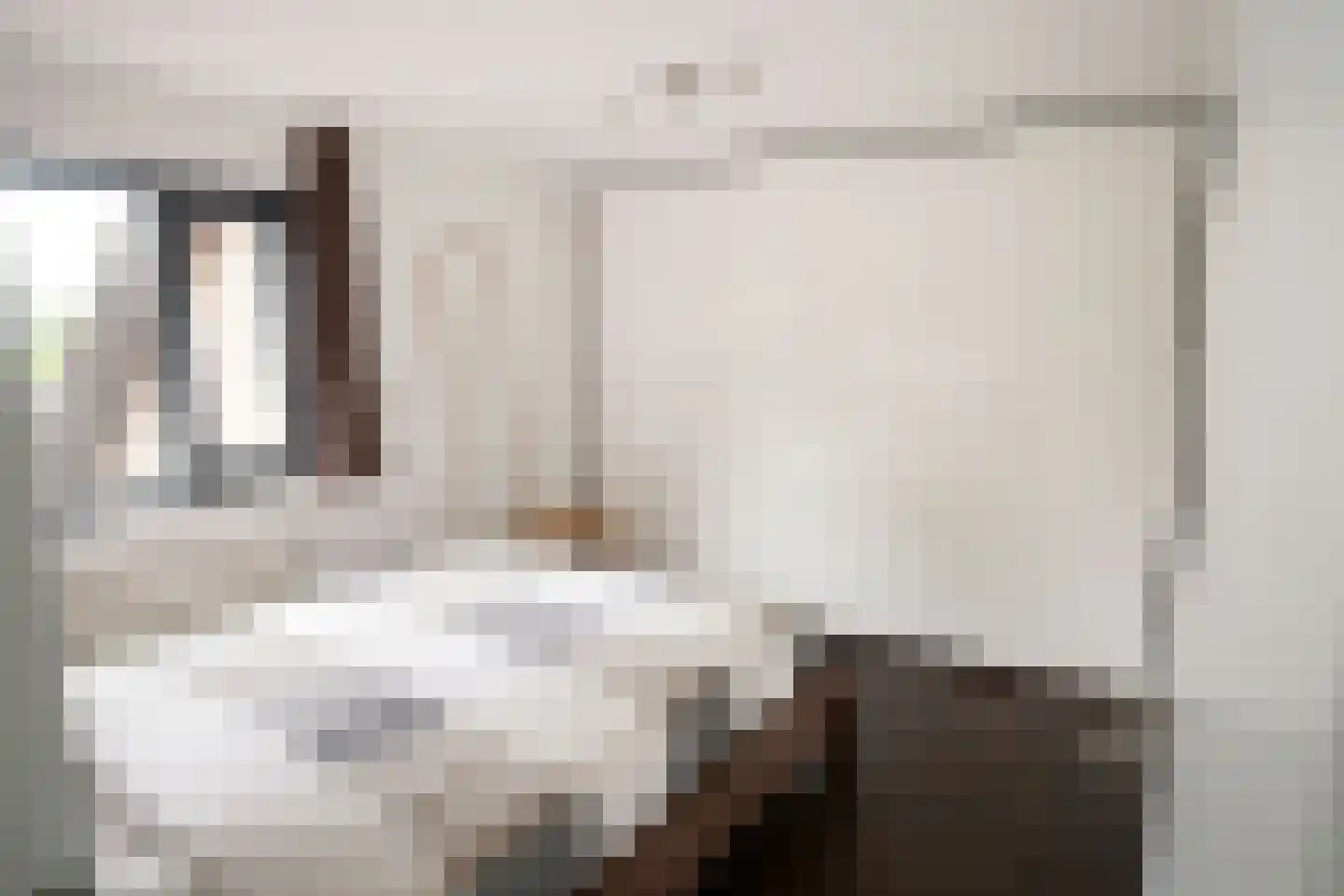 Leeuwerik 65 Waspik thumbnail 37