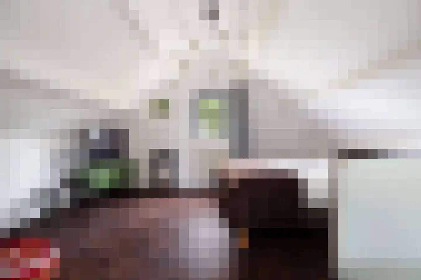 Leeuwerik 65 Waspik thumbnail 38