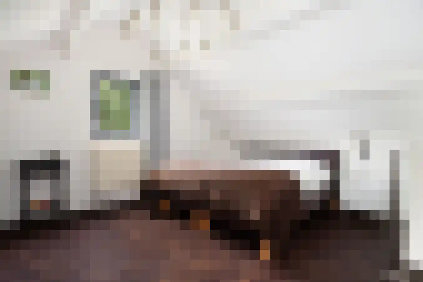 Leeuwerik 65 Waspik thumbnail 39