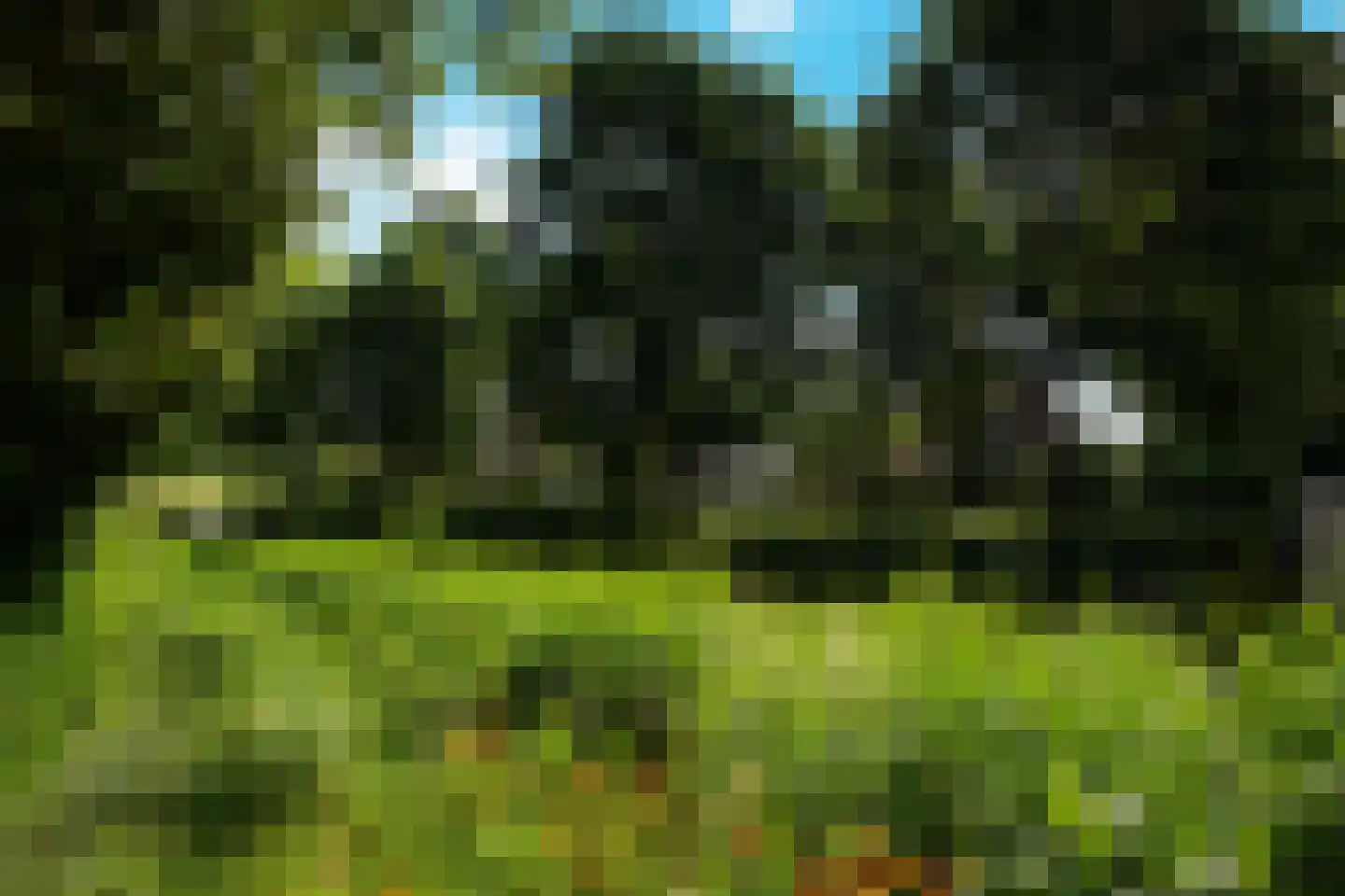Leeuwerik 65 Waspik thumbnail 4