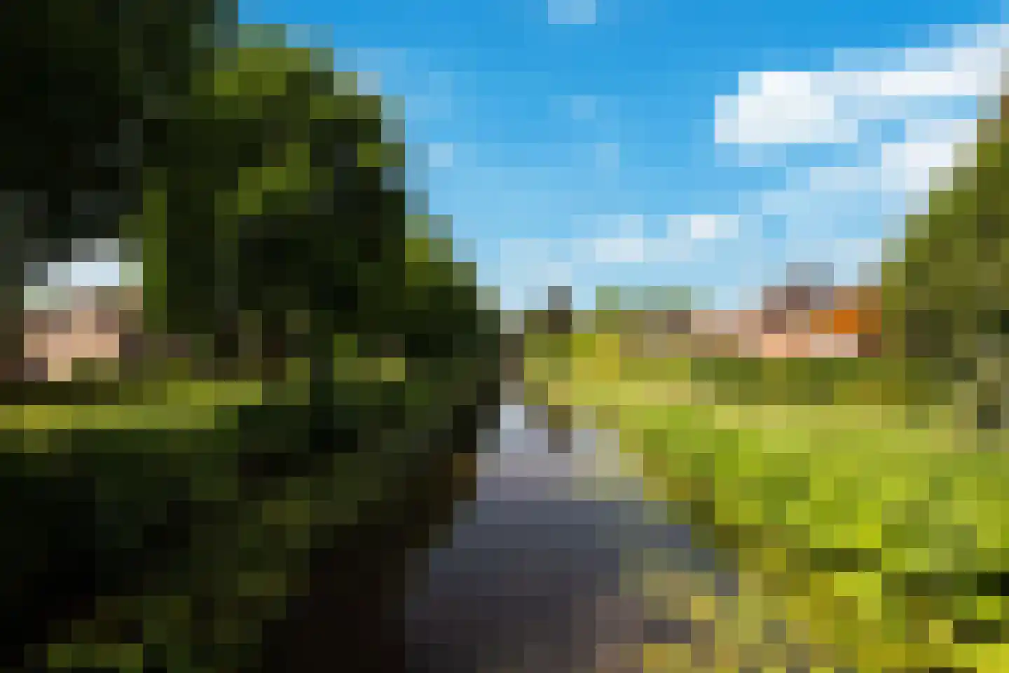 Leeuwerik 65 Waspik thumbnail 45