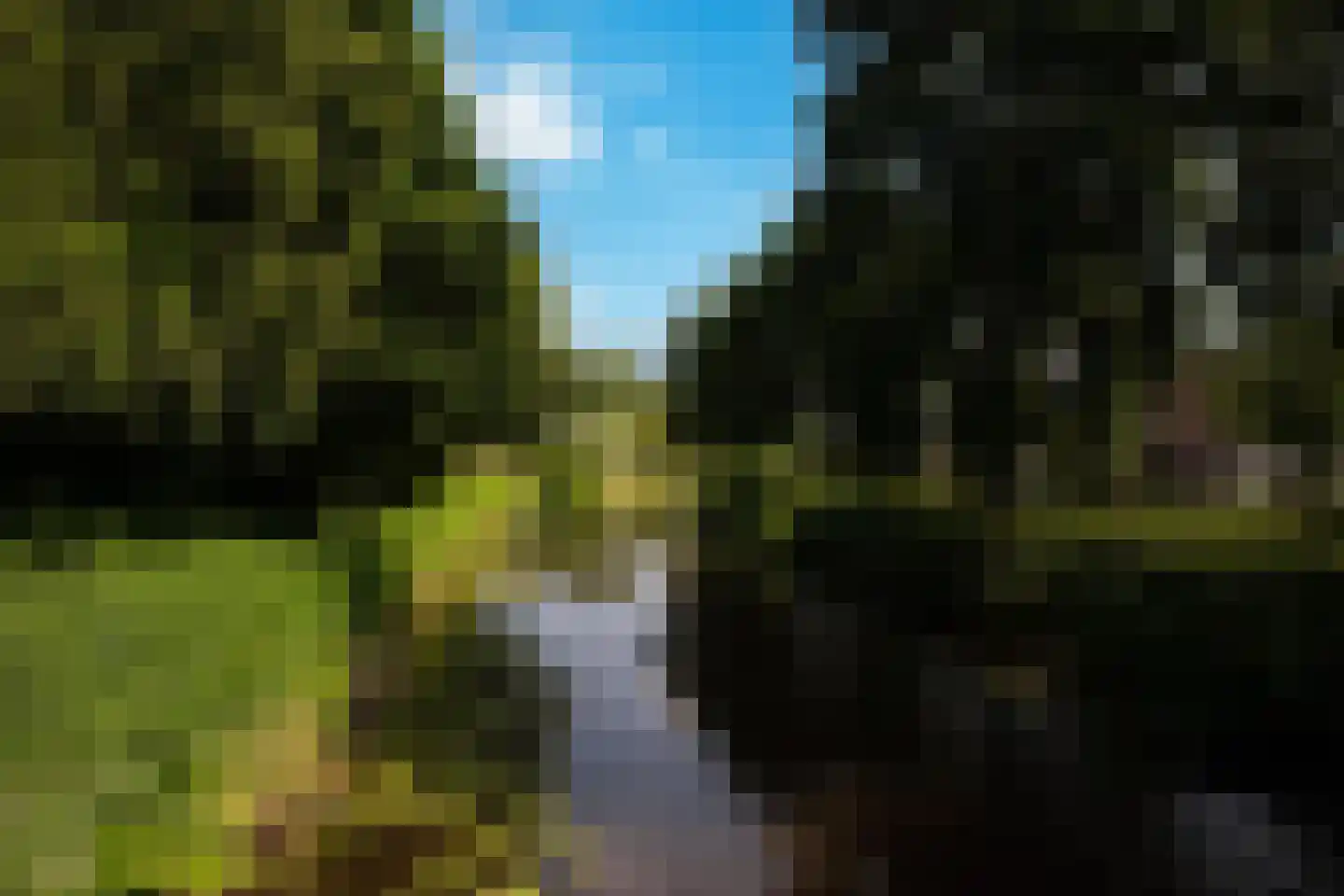 Leeuwerik 65 Waspik thumbnail 5