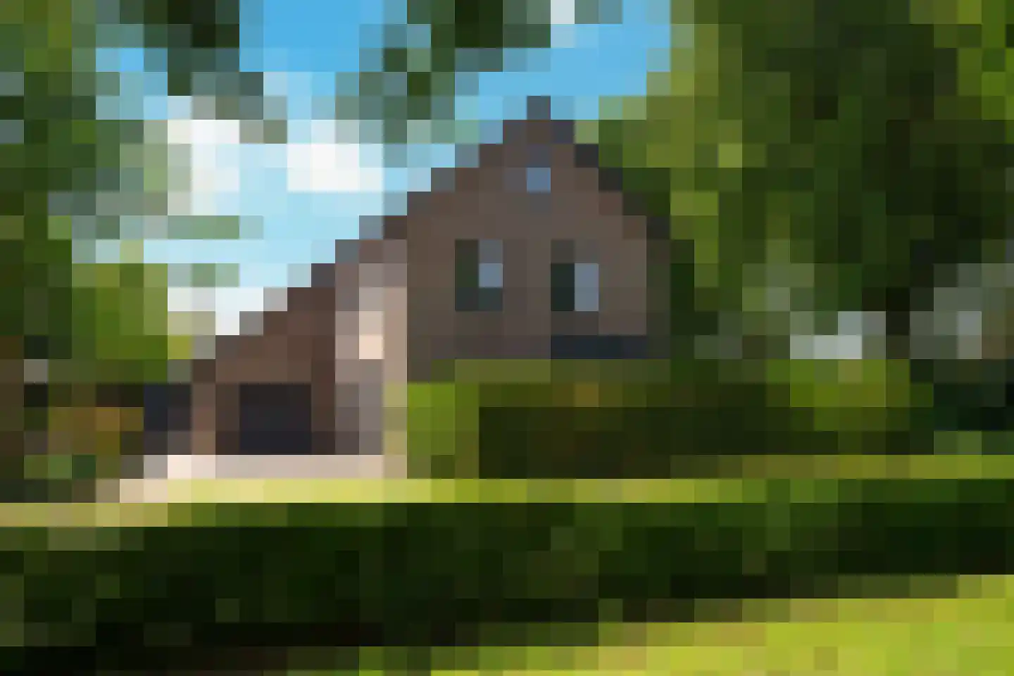 Leeuwerik 65 Waspik thumbnail 6