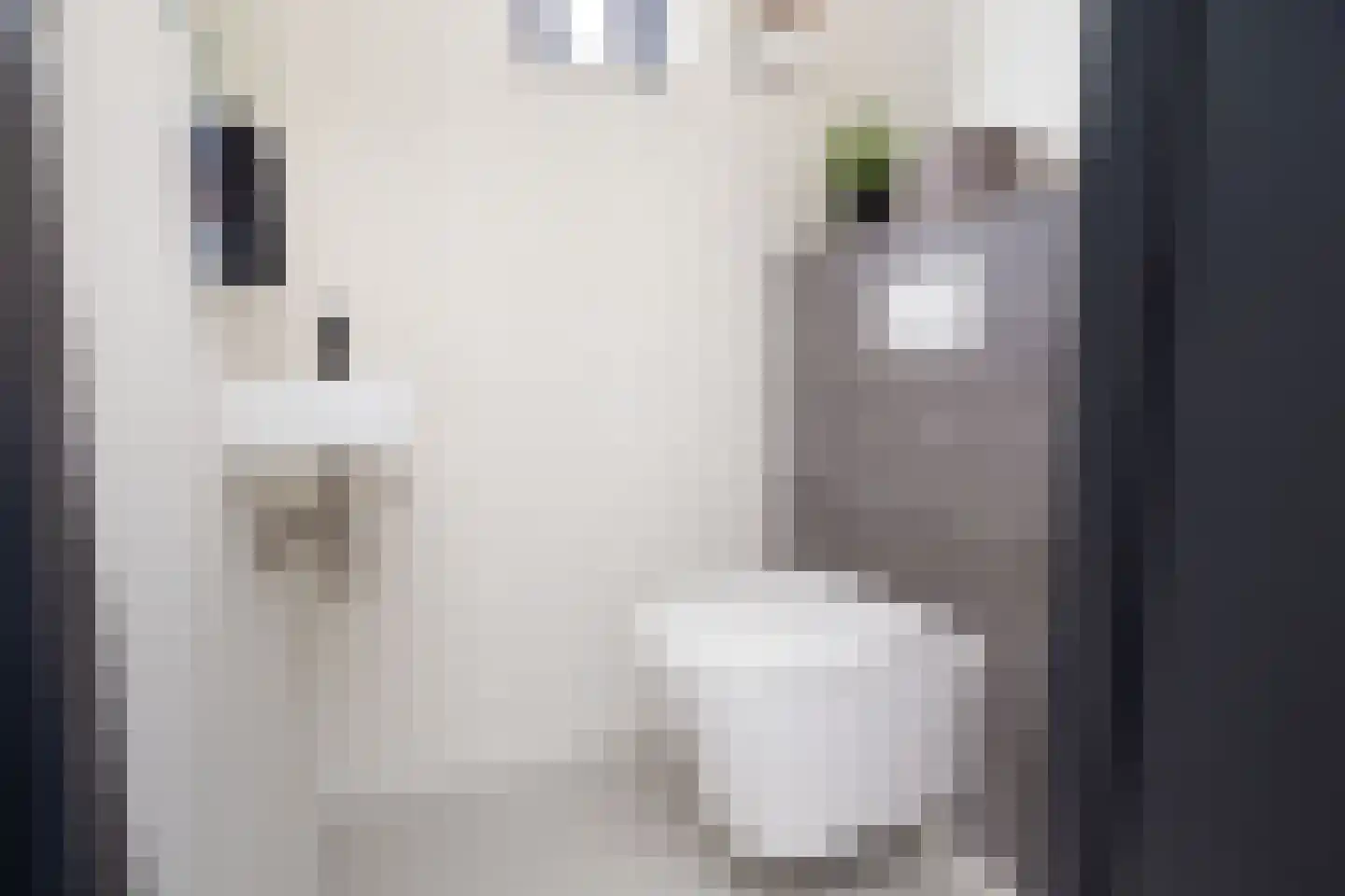 Leeuwerik 65 Waspik thumbnail 8