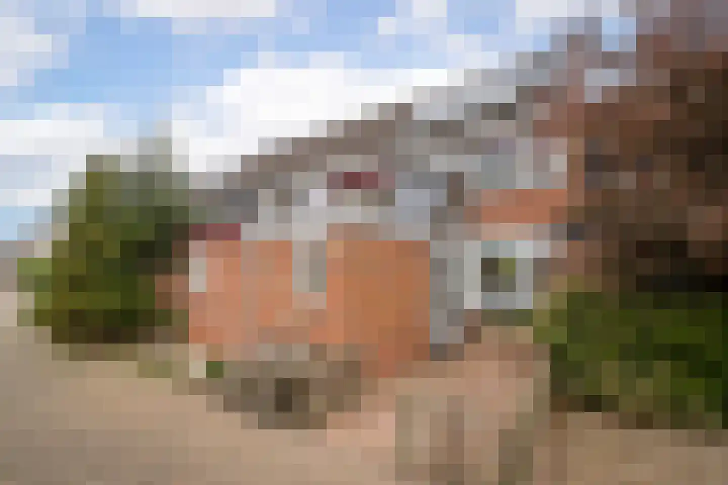 Leeuwerik 8 Venhuizen