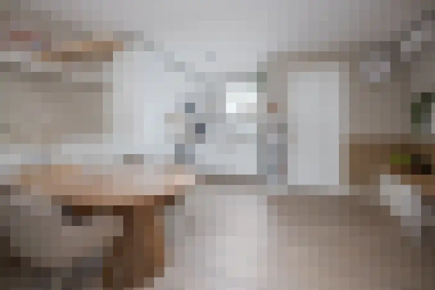 Leeuwerik 8 Venhuizen thumbnail 12