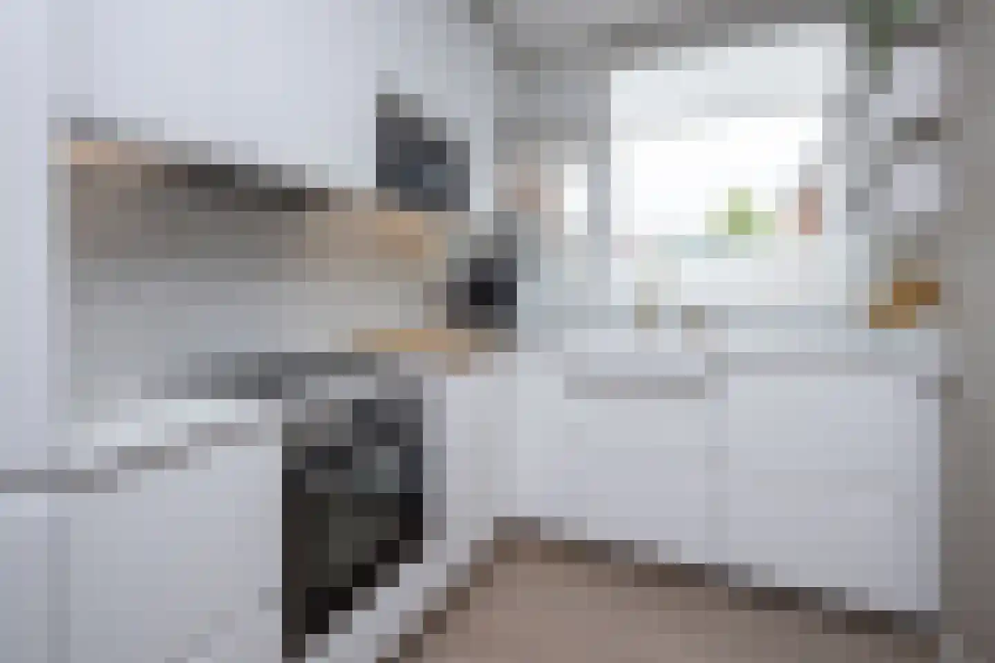 Leeuwerik 8 Venhuizen thumbnail 13