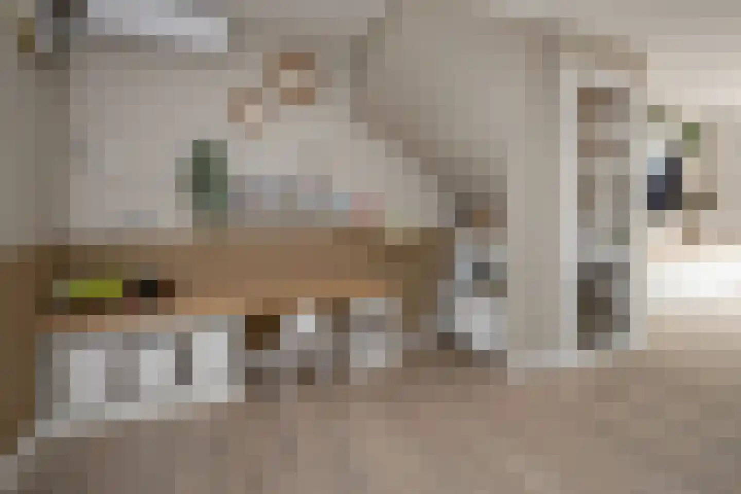 Leeuwerik 8 Venhuizen thumbnail 14