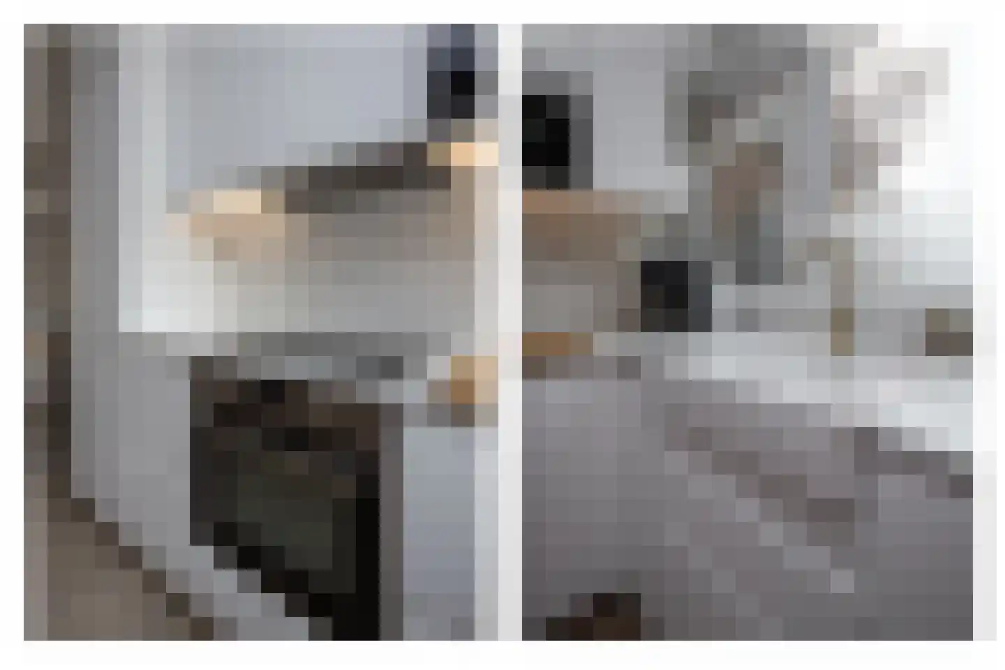 Leeuwerik 8 Venhuizen thumbnail 15