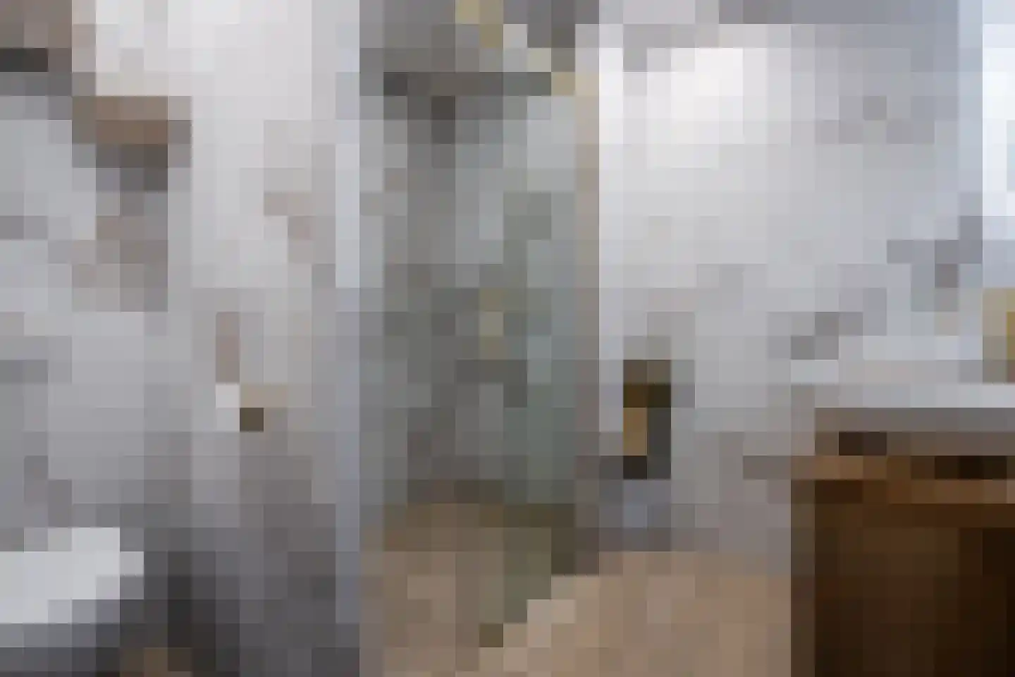 Leeuwerik 8 Venhuizen thumbnail 23