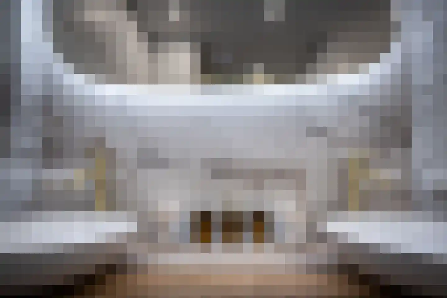 Leeuwerik 8 Venhuizen thumbnail 25