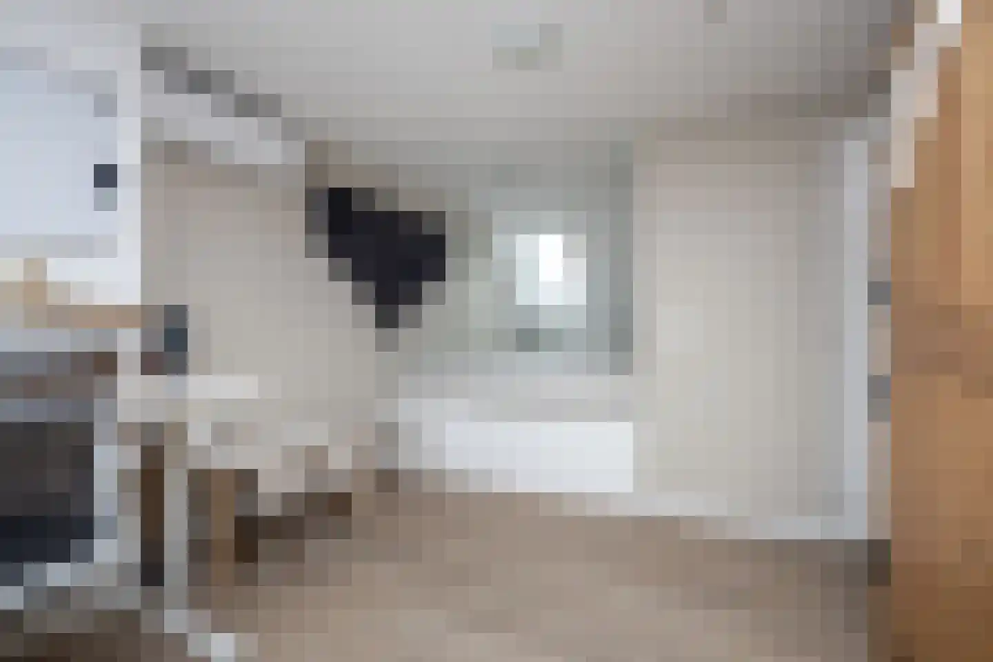 Leeuwerik 8 Venhuizen thumbnail 26