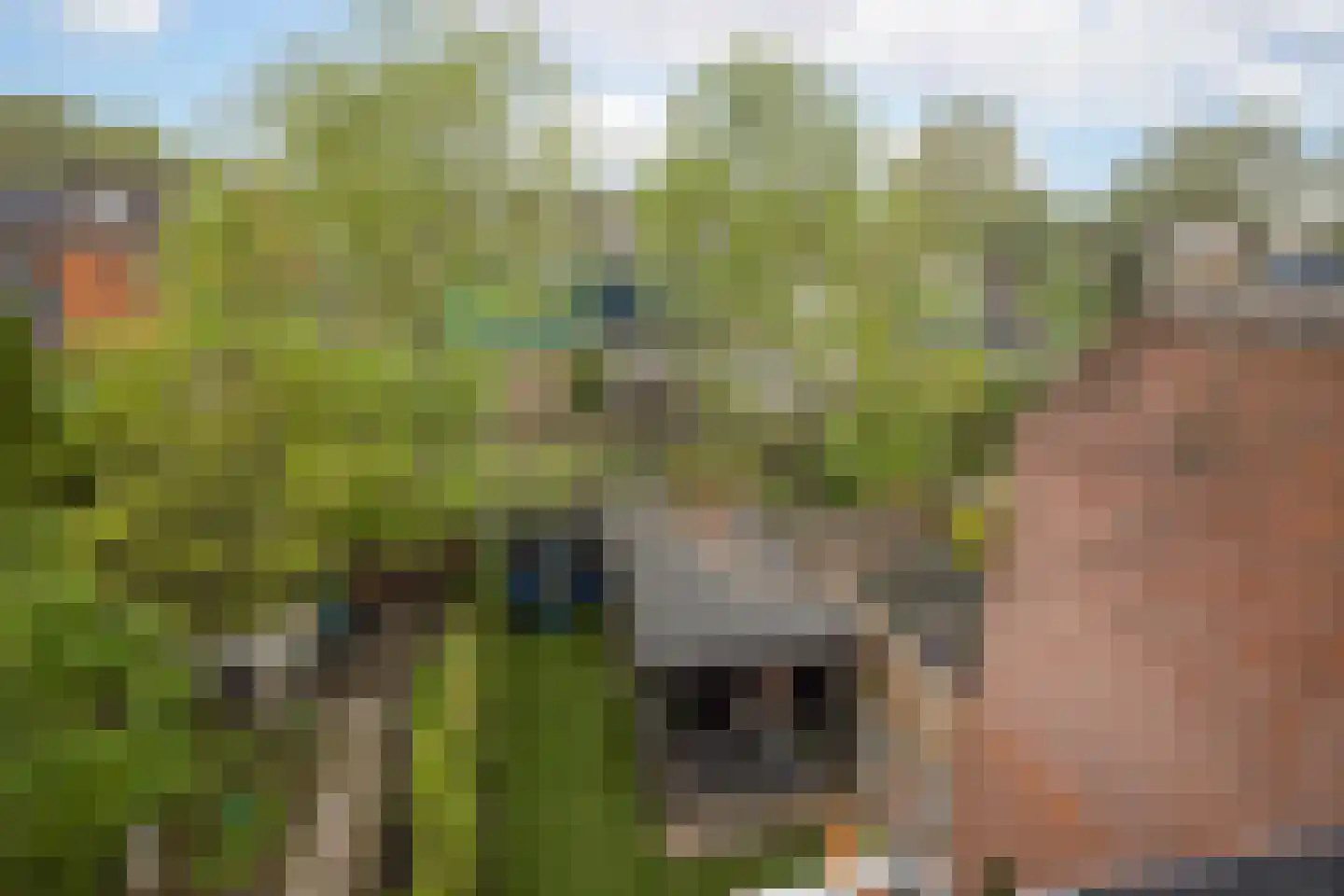 Leeuwerik 8 Venhuizen thumbnail 30