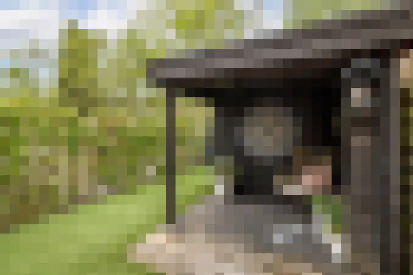 Leeuwerik 8 Venhuizen thumbnail 35