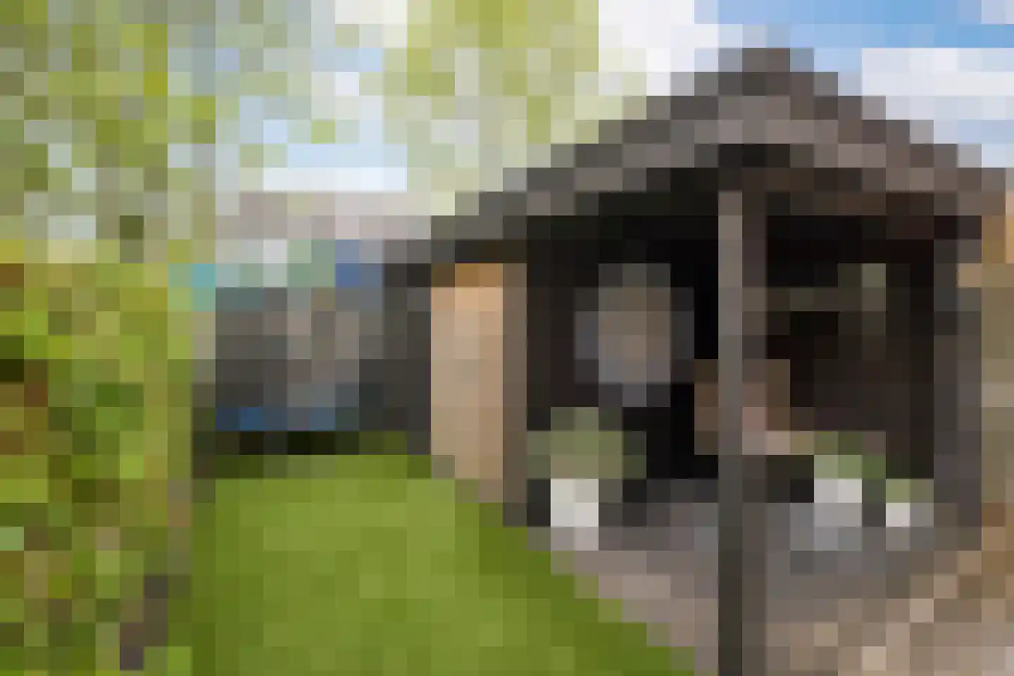 Leeuwerik 8 Venhuizen thumbnail 37