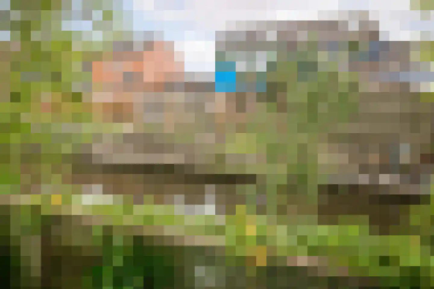 Leeuwerik 8 Venhuizen thumbnail 38