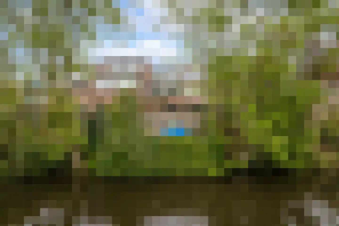 Leeuwerik 8 Venhuizen thumbnail 39