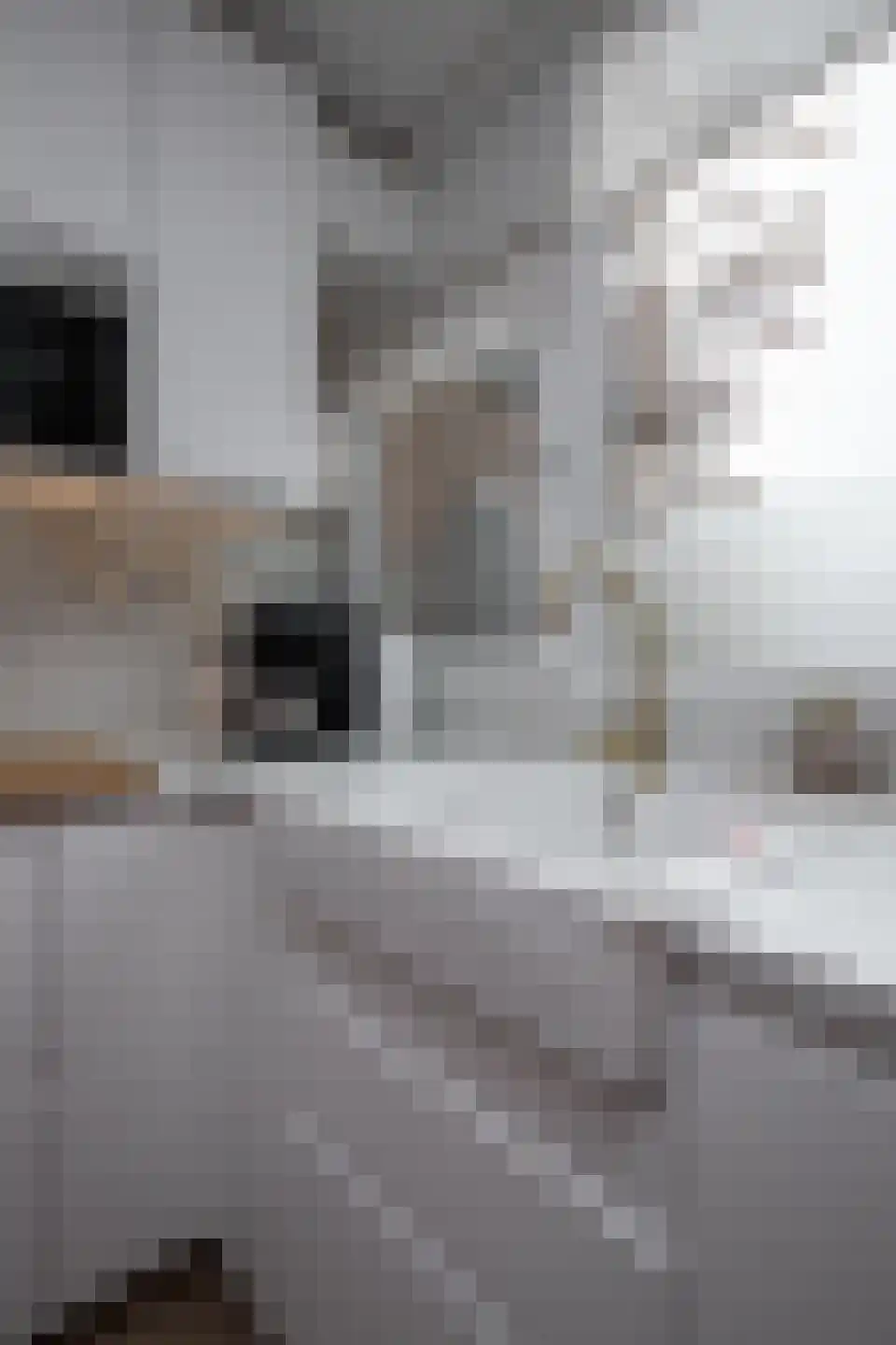 Leeuwerik 8 Venhuizen thumbnail 46