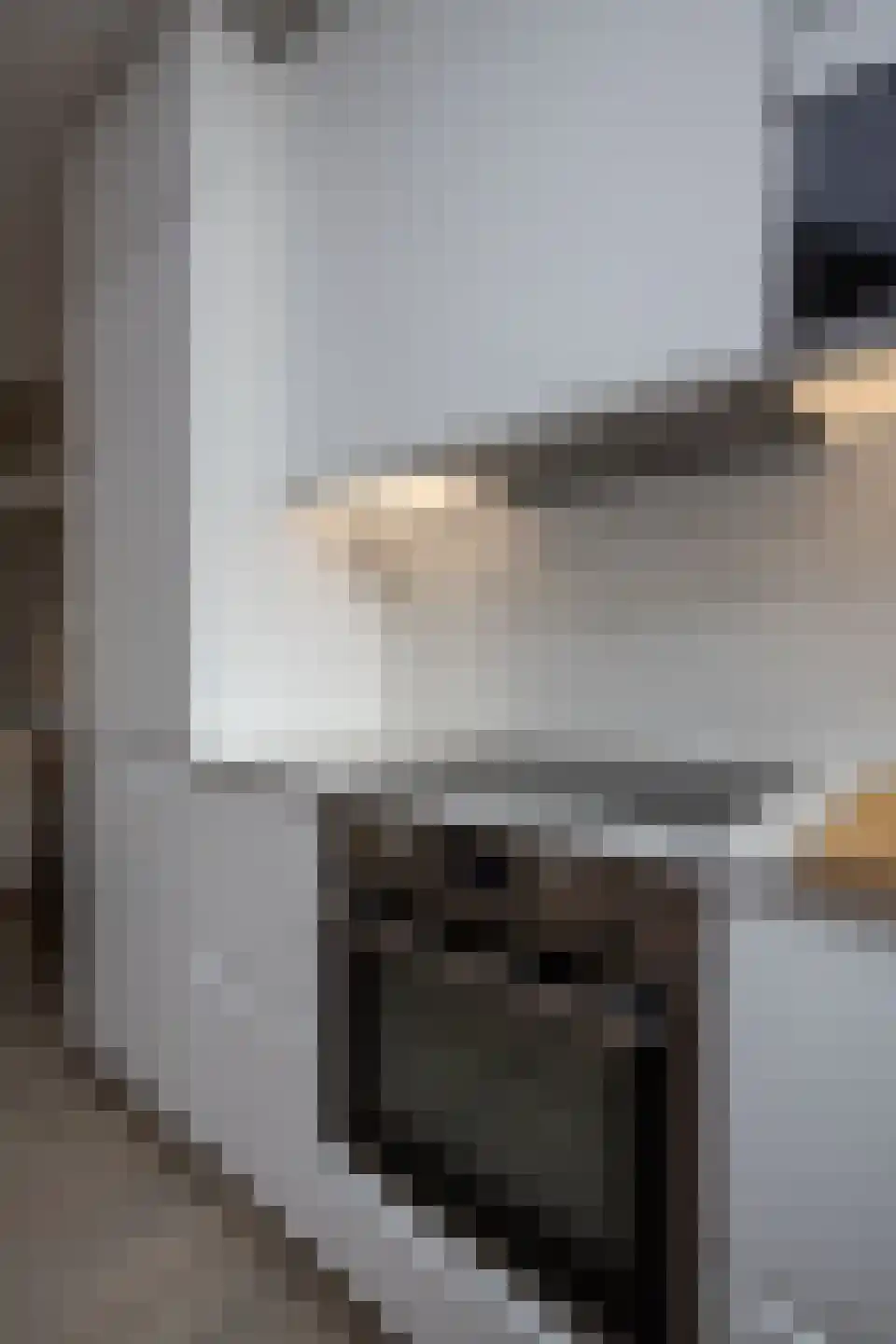 Leeuwerik 8 Venhuizen thumbnail 47