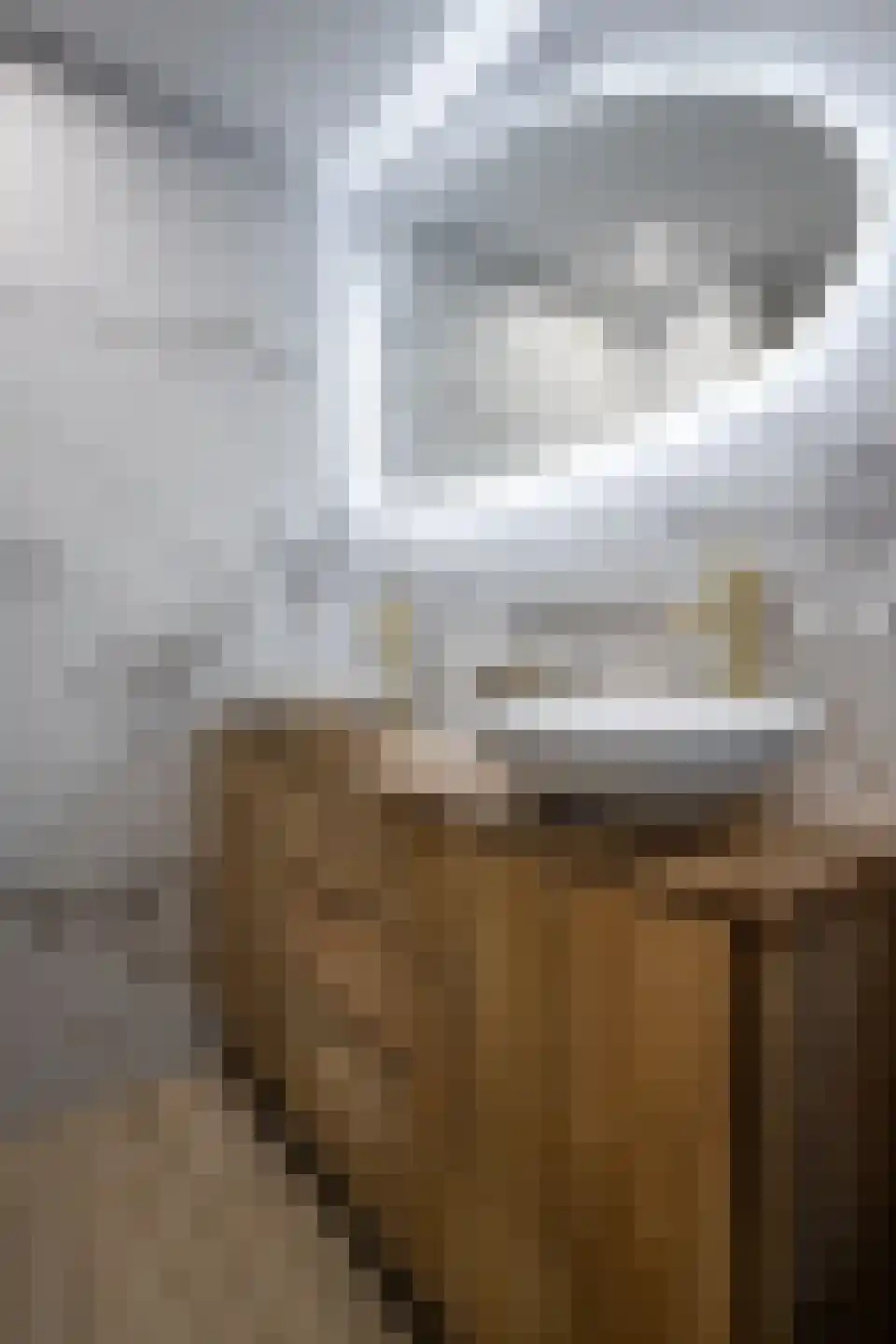 Leeuwerik 8 Venhuizen thumbnail 48