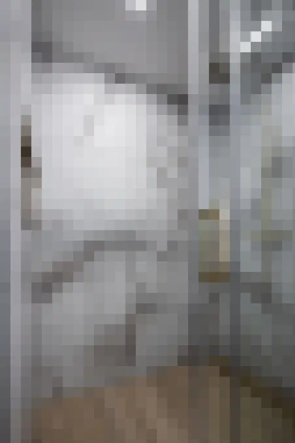 Leeuwerik 8 Venhuizen thumbnail 49