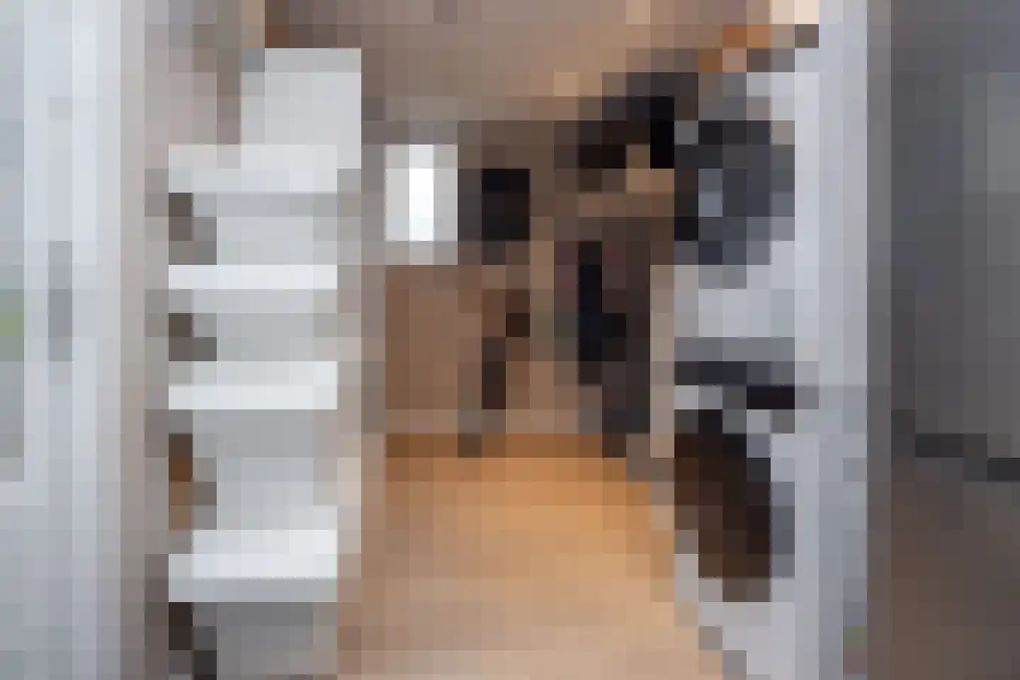 Leeuwerik 8 Venhuizen thumbnail 8