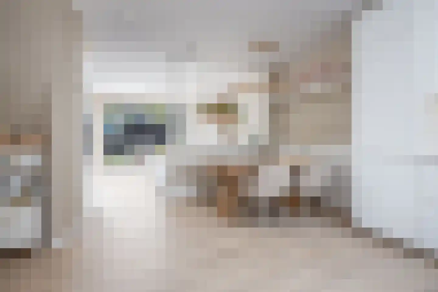 Leeuwerik 8 Venhuizen thumbnail 9