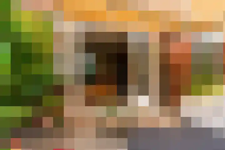 Leeuwerik 9 A Nieuwegein thumbnail 10