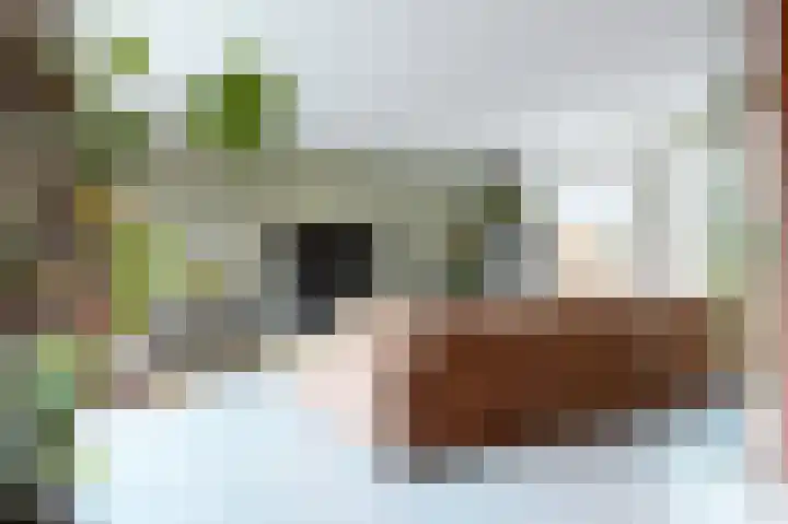 Leeuwerik 9 A Nieuwegein thumbnail 14