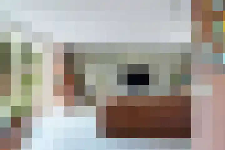 Leeuwerik 9 A Nieuwegein thumbnail 16