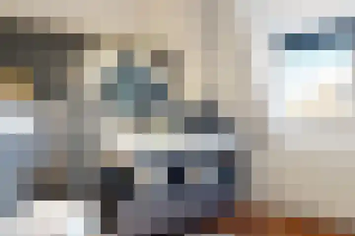 Leeuwerik 9 A Nieuwegein thumbnail 31