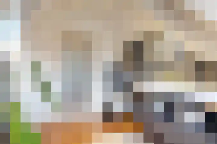 Leeuwerik 9 A Nieuwegein thumbnail 32