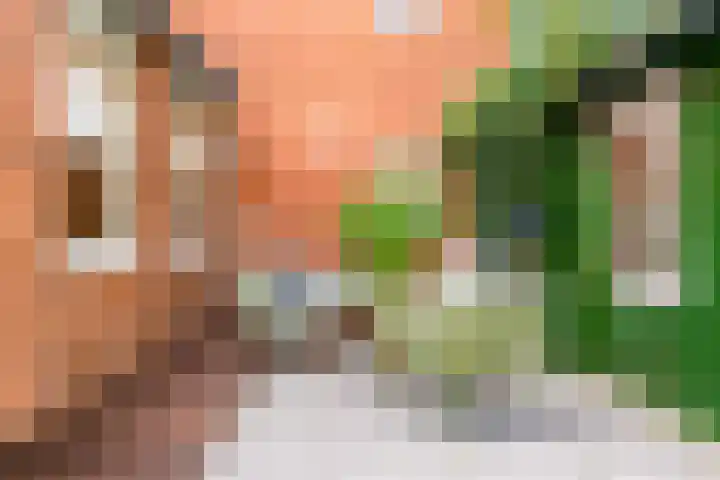 Leeuwerik 9 A Nieuwegein thumbnail 37