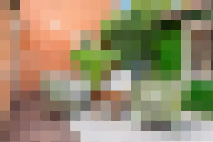 Leeuwerik 9 A Nieuwegein thumbnail 38