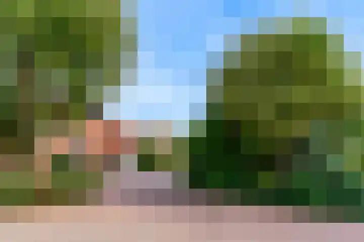 Leeuwerik 9 A Nieuwegein thumbnail 42