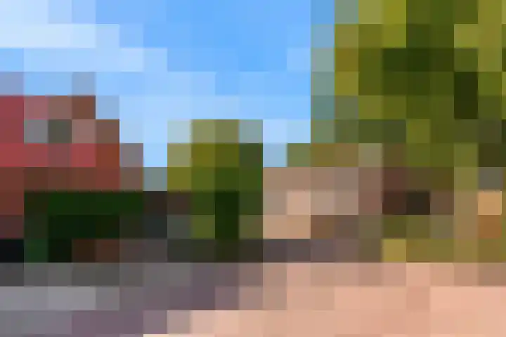 Leeuwerik 9 A Nieuwegein thumbnail 43