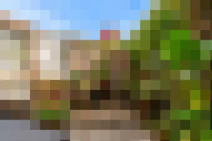 Leeuwerik 9 A Nieuwegein thumbnail 6