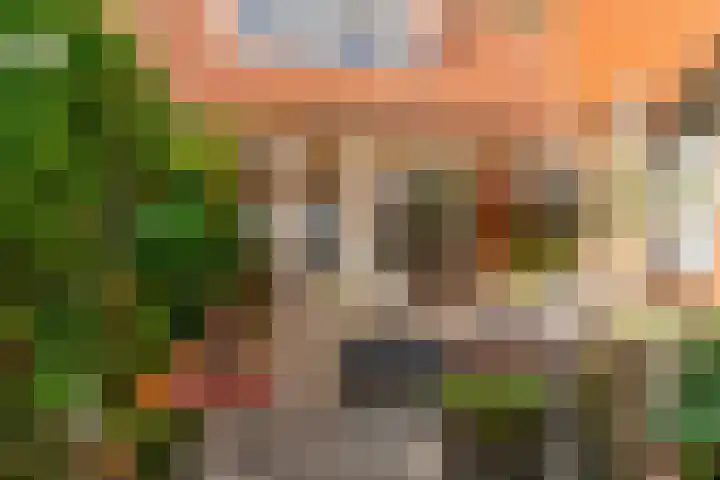 Leeuwerik 9 A Nieuwegein thumbnail 8