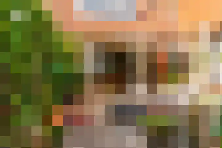 Leeuwerik 9 A Nieuwegein thumbnail 9