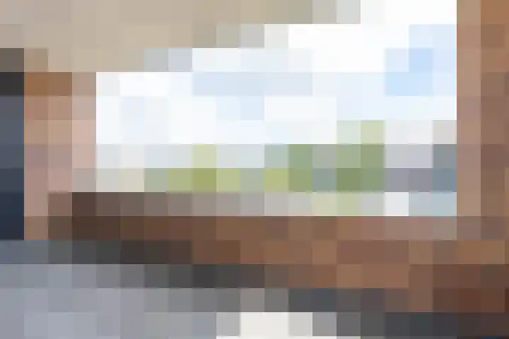 Leeuwerik 9 Leimuiden thumbnail 17