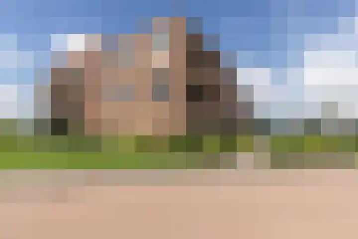 Leeuwerik 9 Leimuiden foto 2
