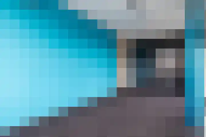 Leeuwerik 9 Leimuiden thumbnail 22