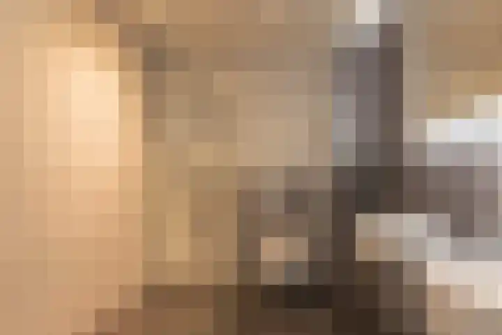 Leeuwerik 9 Leimuiden thumbnail 26