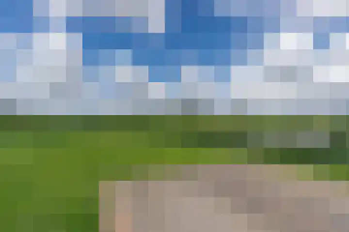 Leeuwerik 9 Leimuiden thumbnail 34