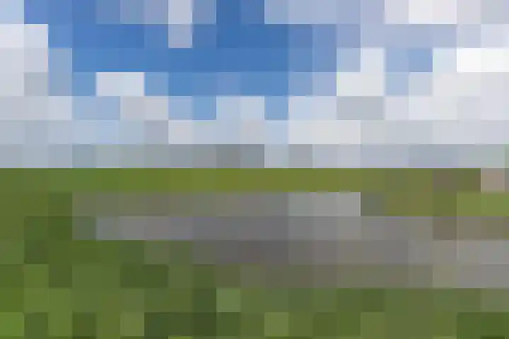 Leeuwerik 9 Leimuiden thumbnail 35