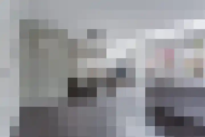 Leeuwerik 9 Mierlo thumbnail 12