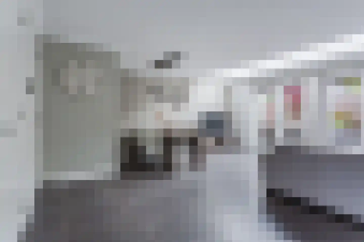 Leeuwerik 9 Mierlo thumbnail 13