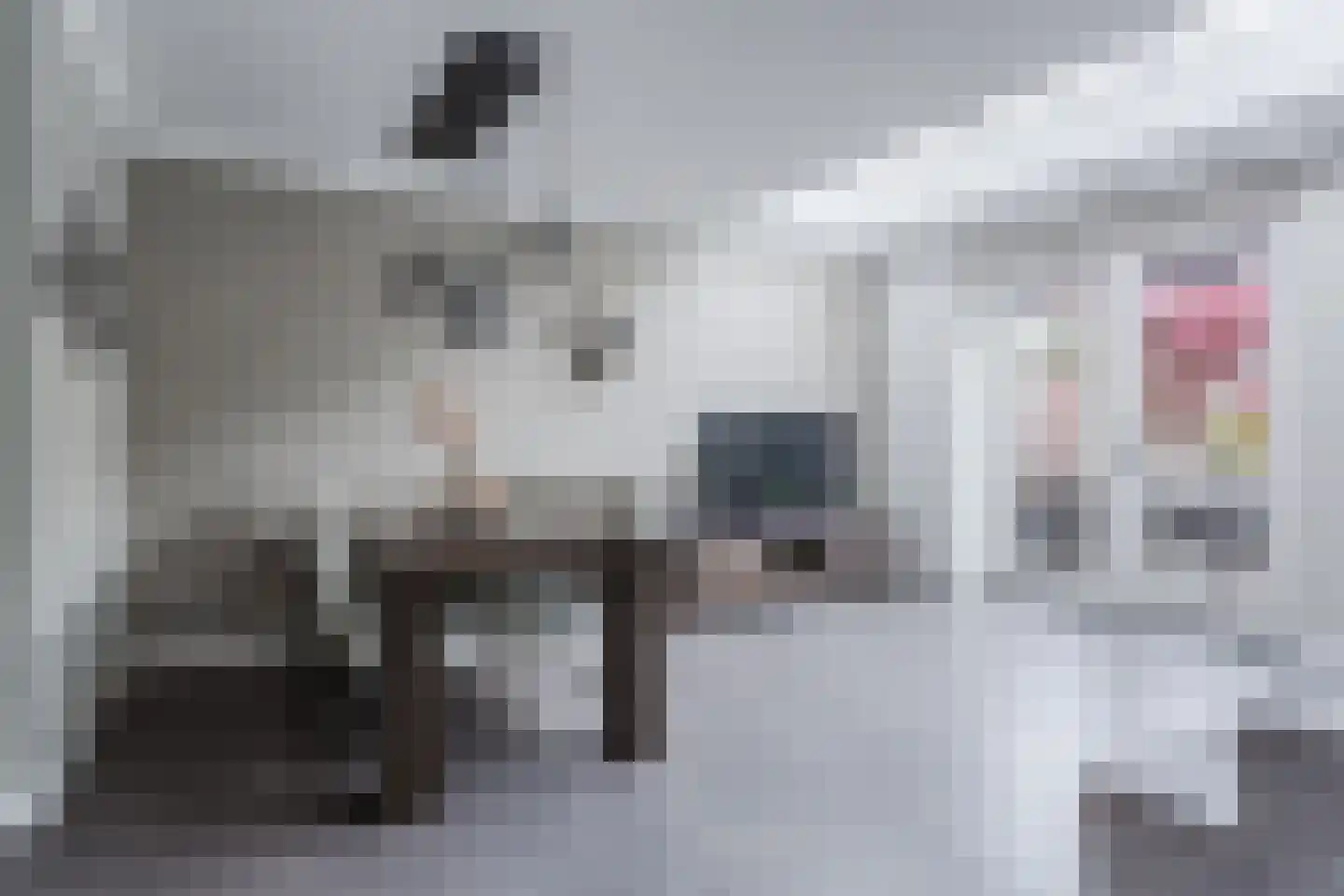Leeuwerik 9 Mierlo thumbnail 14